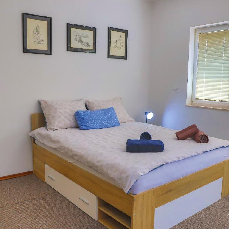 APARTMAN NAAJ - Two-Bedroom Apartment - 23
