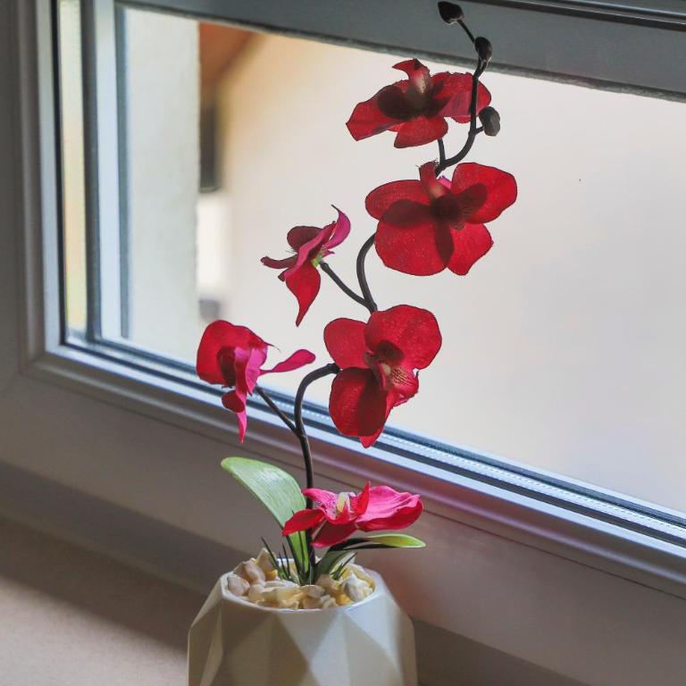 APARTMAN NAAJ - Two-Bedroom Apartment - 40