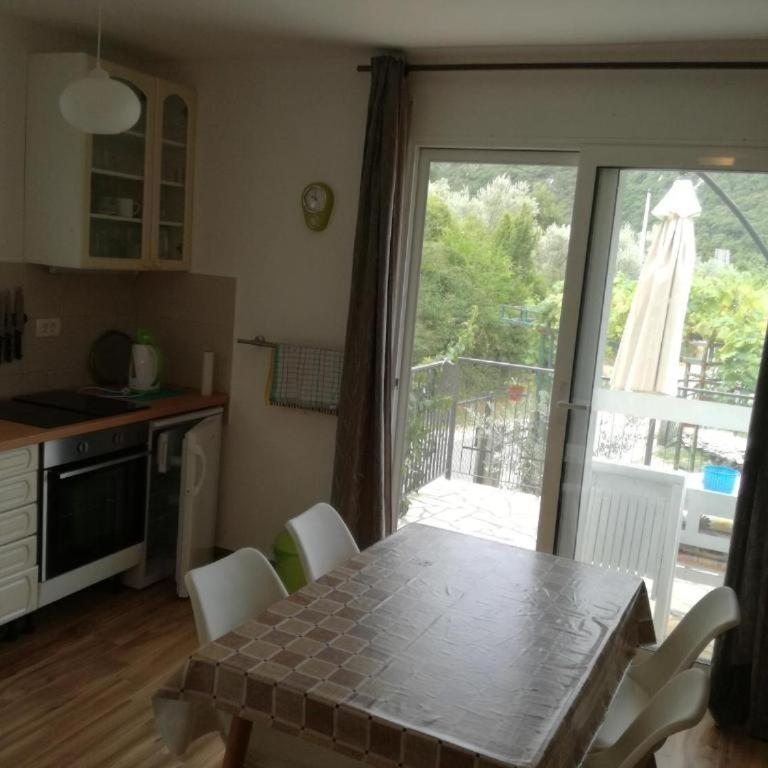 Apartmani Stanislav - Apartman sa 1 Spavaćom Sobom - 4