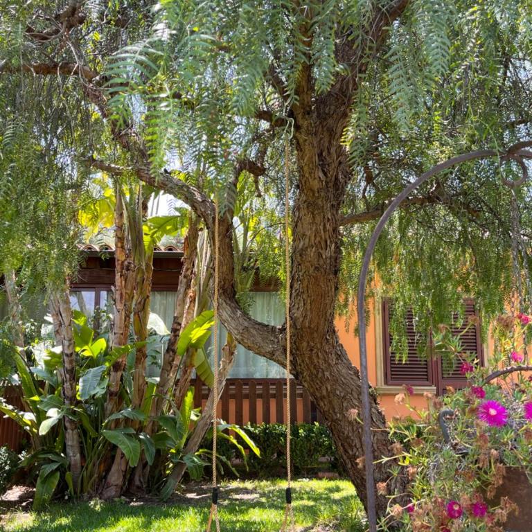 Giardino di Circe - Casa con 4 camere da letto - 7