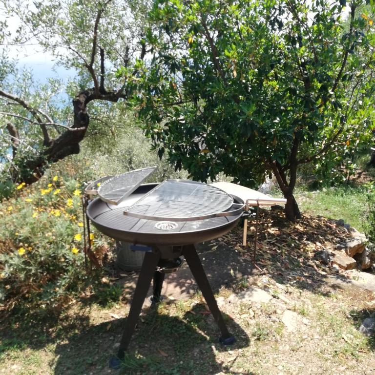 Ariadimare guest house - Monolocale con Vista Mare - 71