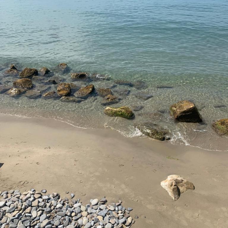 Casa Girasole Sanremo centro - Appartamento con 1 Camera da Letto - 28