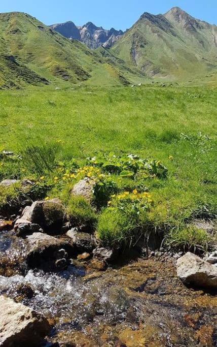 Appartement spacieux au cœur du massif du Sancy - Apartment mit 2 Schlafzimmern - 13