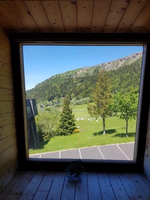Appartement spacieux au cœur du massif du Sancy - Apartment mit 2 Schlafzimmern - 14