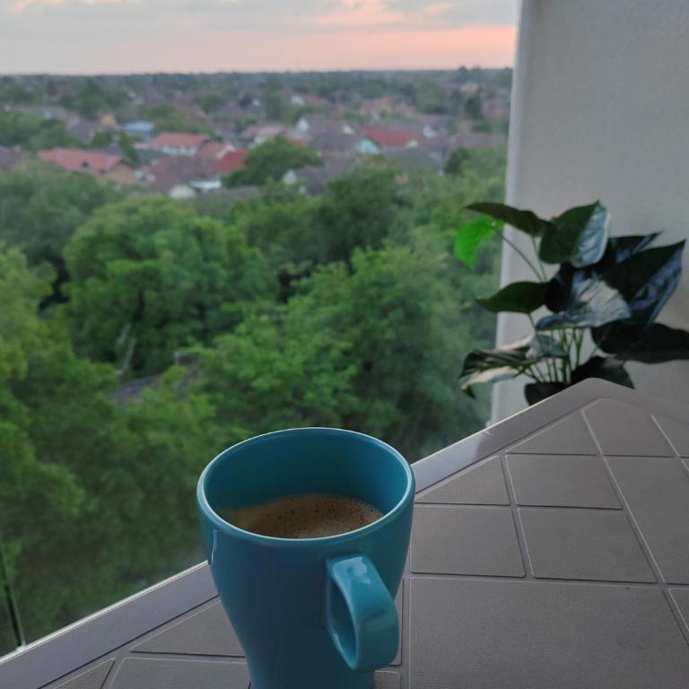 Krstić_lux apartman - One-Bedroom Apartment - 35