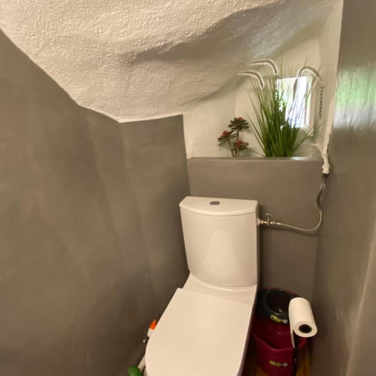 DOUCEUR BANDOLAISE - Appartamento con 2 Camere da Letto - 16