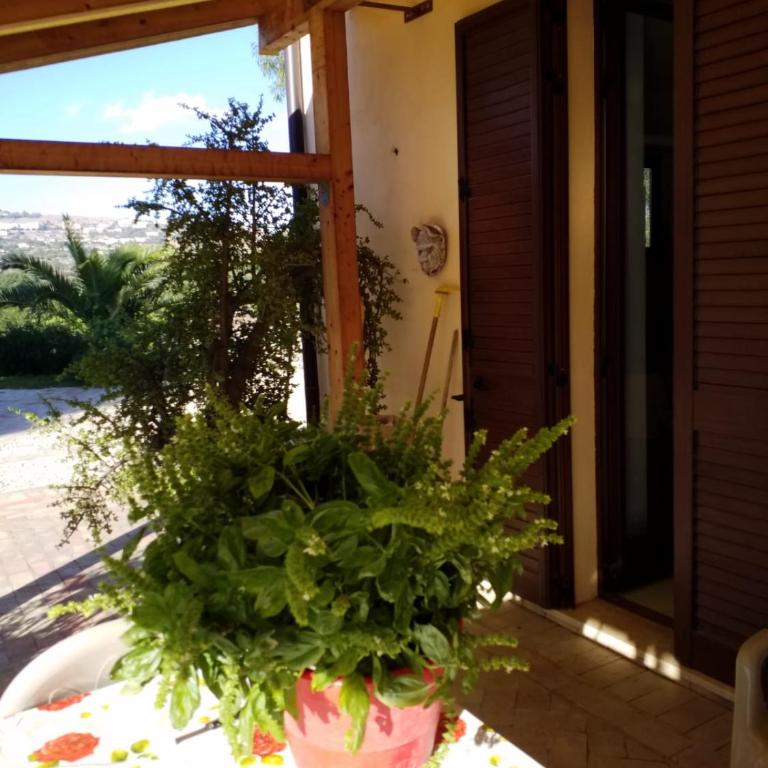 AGRIALMA - Camera Matrimoniale con Vista Giardino - 2