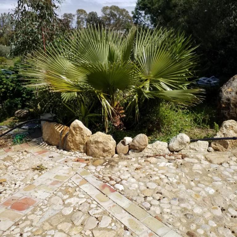 AGRIALMA - Camera Doppia con Letti Singoli con Vista Giardino - 1