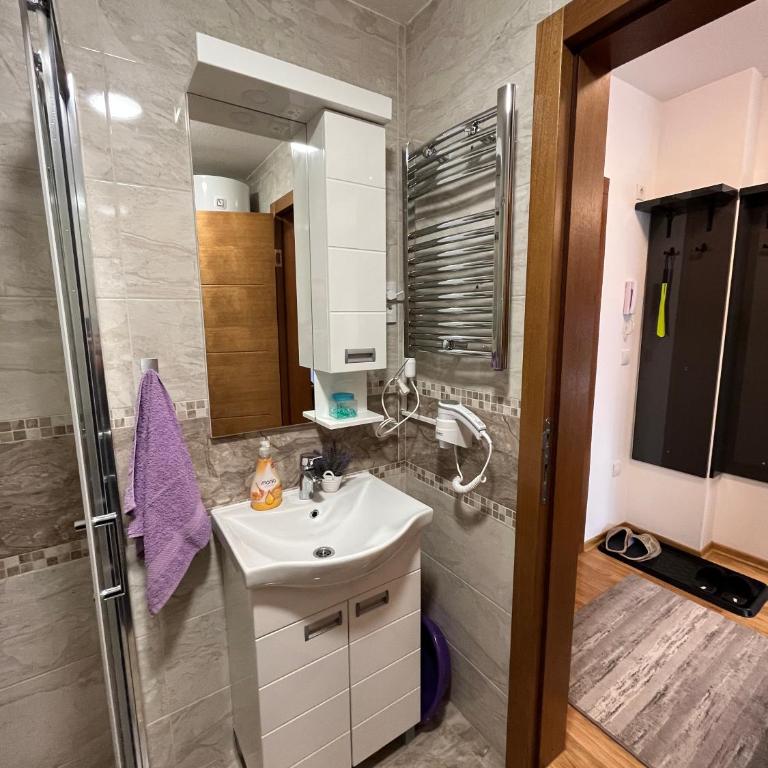Apartman Korać - Apartman sa 1 Spavaćom Sobom - 60