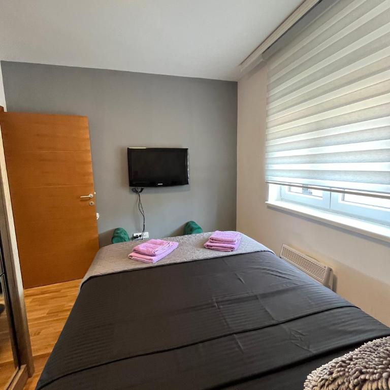 Apartman Korać - Apartman sa 1 Spavaćom Sobom - 39