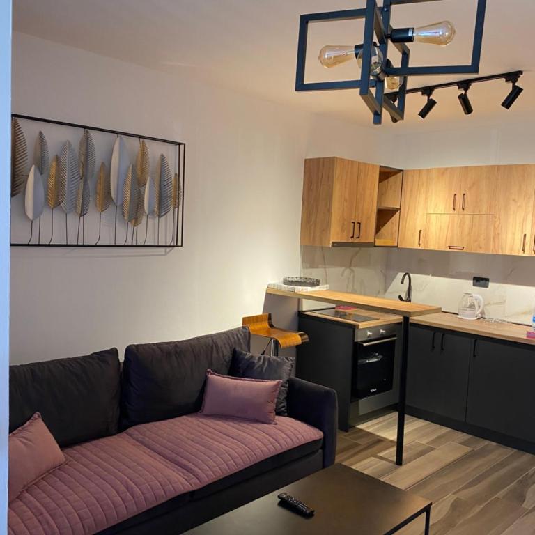 Studio apartman Spot - Apartman sa 1 Spavaćom Sobom - 1