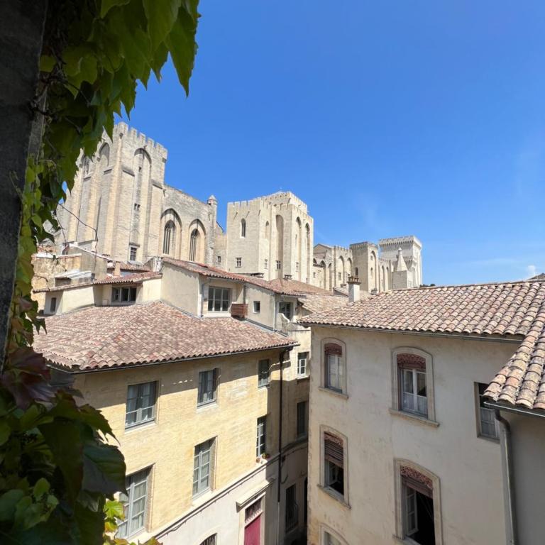 RÉNOVÉ, vue SUR Palais des Papes, terrasse et WIFI TROISIEME ETAGE - Apartment mit 1 Schlafzimmer - 2