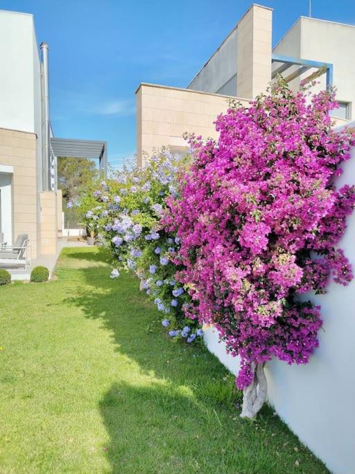 Exclusiva Villa Lujo con piscina privada by Chiclana Dreams - Villa - 37