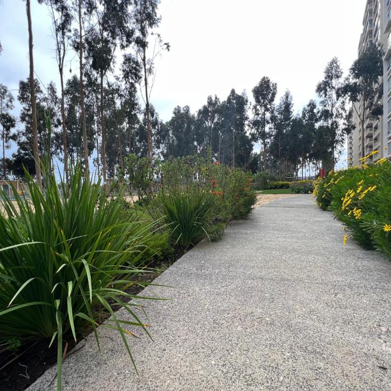 Departamento Algarrobo - Apartamento de 2 dormitorios - 29