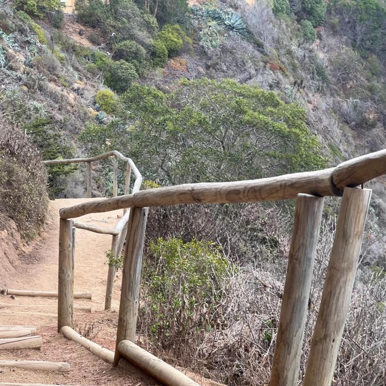 Departamento Algarrobo - Apartamento de 2 dormitorios - 43