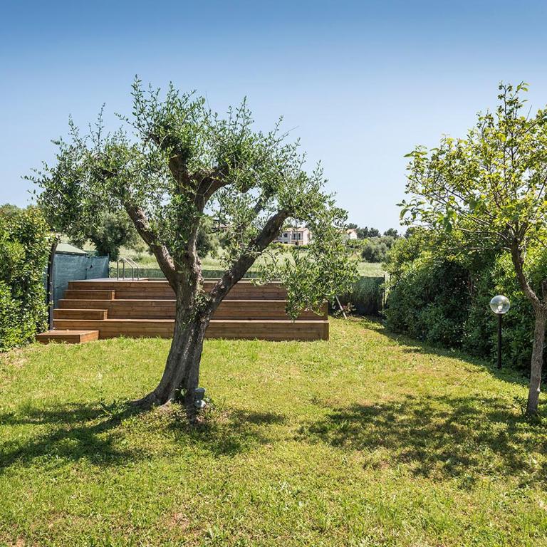 N084 - Numana, villa quadrilocale con meraviglioso giardino - Appartamento - 10