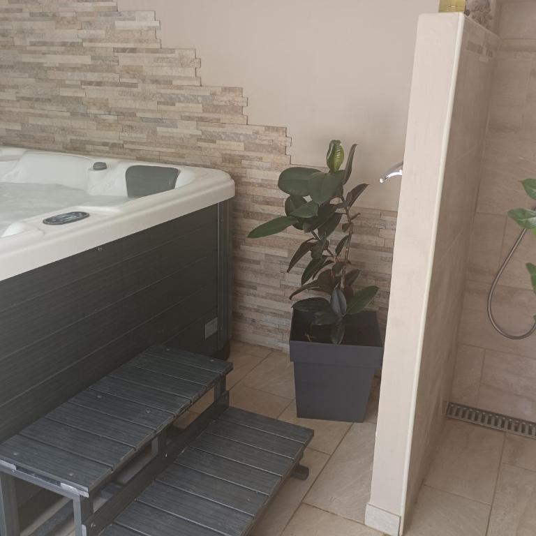 Mimilou Mont St Loup piscine privée - Appartement 1 Chambre - 4