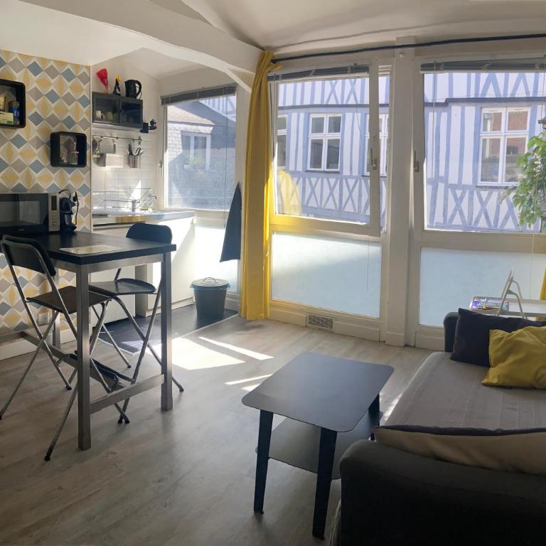 Charmant studio hypercentre - Apartment mit 1 Schlafzimmer - 1