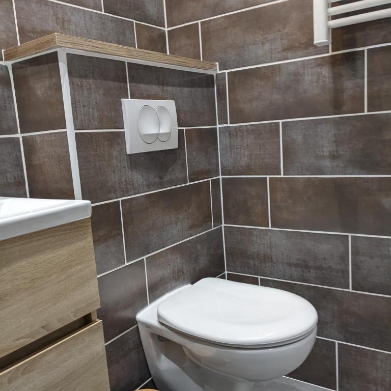 Le Petit Nautin centre ville Saint-Etienne - Apartamento de 1 dormitorio - 6