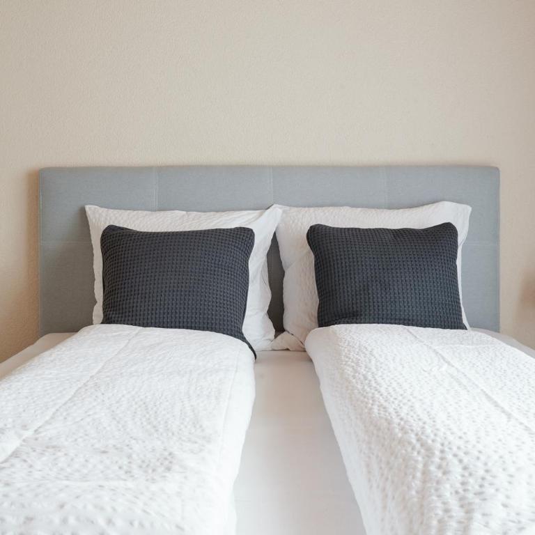 Ferienwohnung - 100m von der Talstation Aletsch Bahnen und Bahnhof Fiesch, BESTE Ausgangslage - Apartment - 22