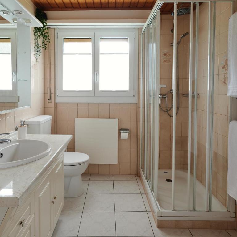 Ferienwohnung - 100m von der Talstation Aletsch Bahnen und Bahnhof Fiesch, BESTE Ausgangslage - Apartment - 13