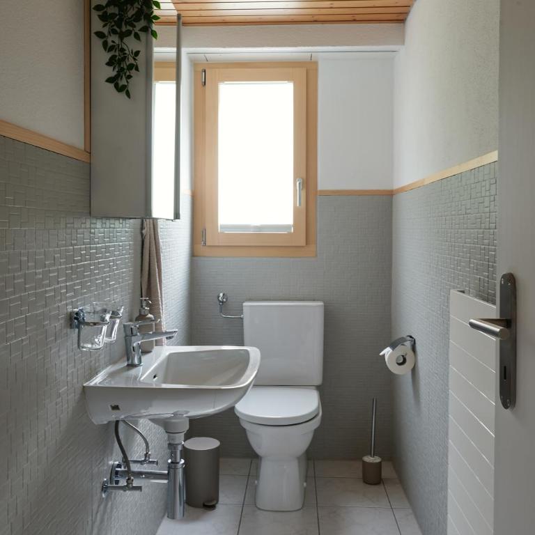 Ferienwohnung - 100m von der Talstation Aletsch Bahnen und Bahnhof Fiesch, BESTE Ausgangslage - Apartment - 10