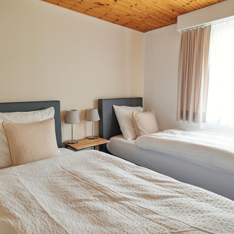 Ferienwohnung - 100m von der Talstation Aletsch Bahnen und Bahnhof Fiesch, BESTE Ausgangslage - Apartment - 11