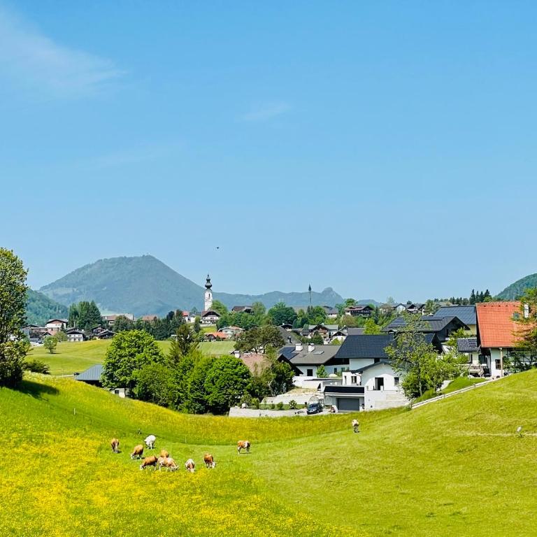 place2be - with infinity pool - Apartment mit 1 Schlafzimmer - 26