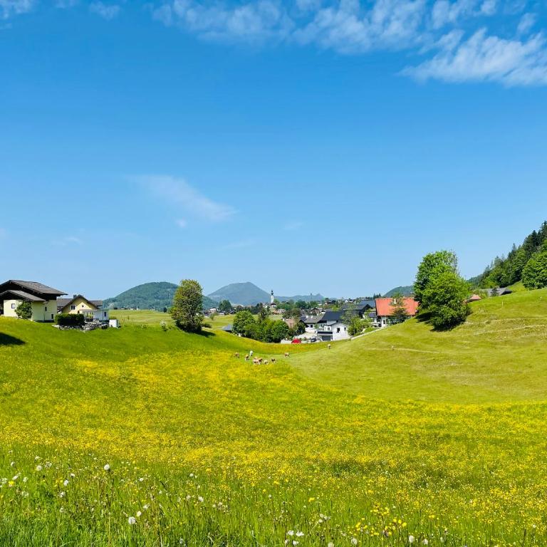 place2be - with infinity pool - Apartment mit 1 Schlafzimmer - 33