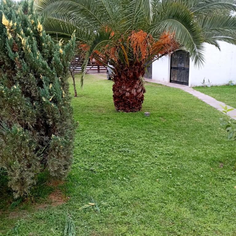 San Cayetano - Two-Bedroom Apartment - 10
