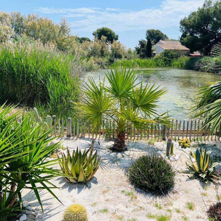 Cabane le Flamant avec jardin, piscine et parking - Appartement 1 Chambre - 32