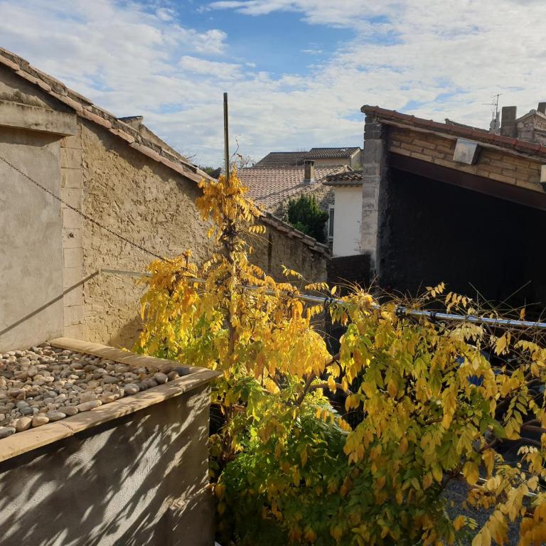 Le logis de la tour - Appartement avec Terrasse - 21