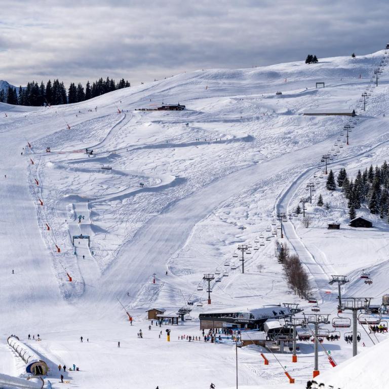 Les Saisies appart 1 chambre au pied des pistes - Appartamento con 1 Camera da Letto - 17