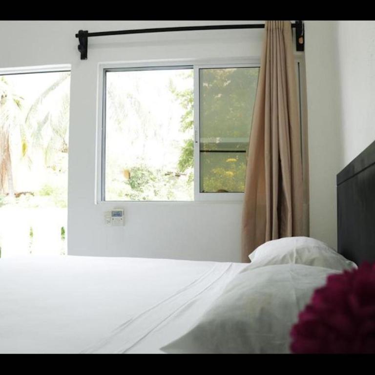 Private room with king size bed num023 - Habitación Doble - 1 o 2 camas - 17
