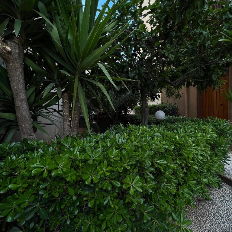 Turums B&B - Camera Matrimoniale - 10