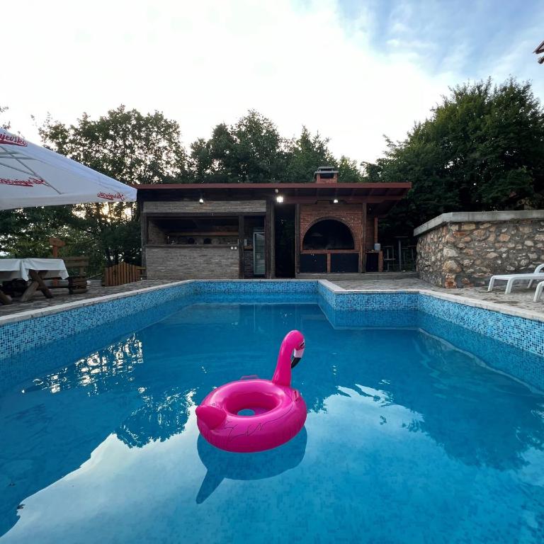 Villa White Dove Sarajevo - Vila sa Sopstvenim Bazenom - 13