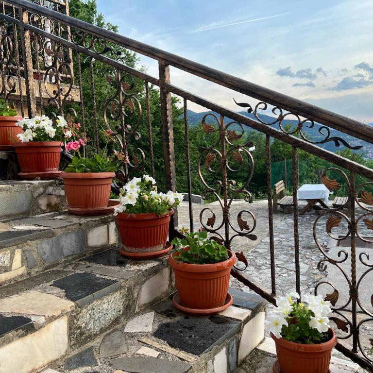 Villa White Dove Sarajevo - Vila sa Sopstvenim Bazenom - 44
