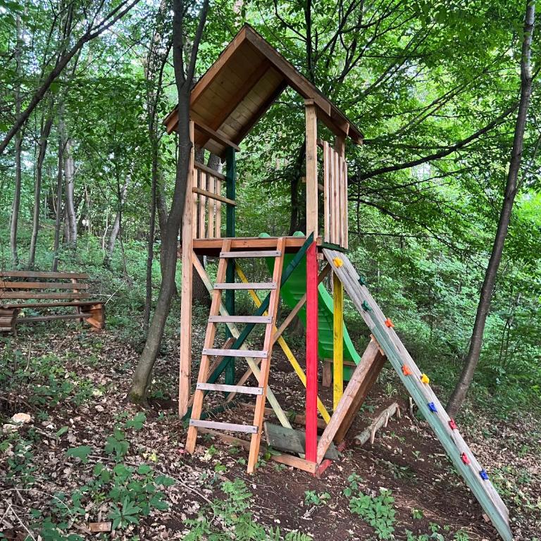 Villa White Dove Sarajevo - Vila sa Sopstvenim Bazenom - 62