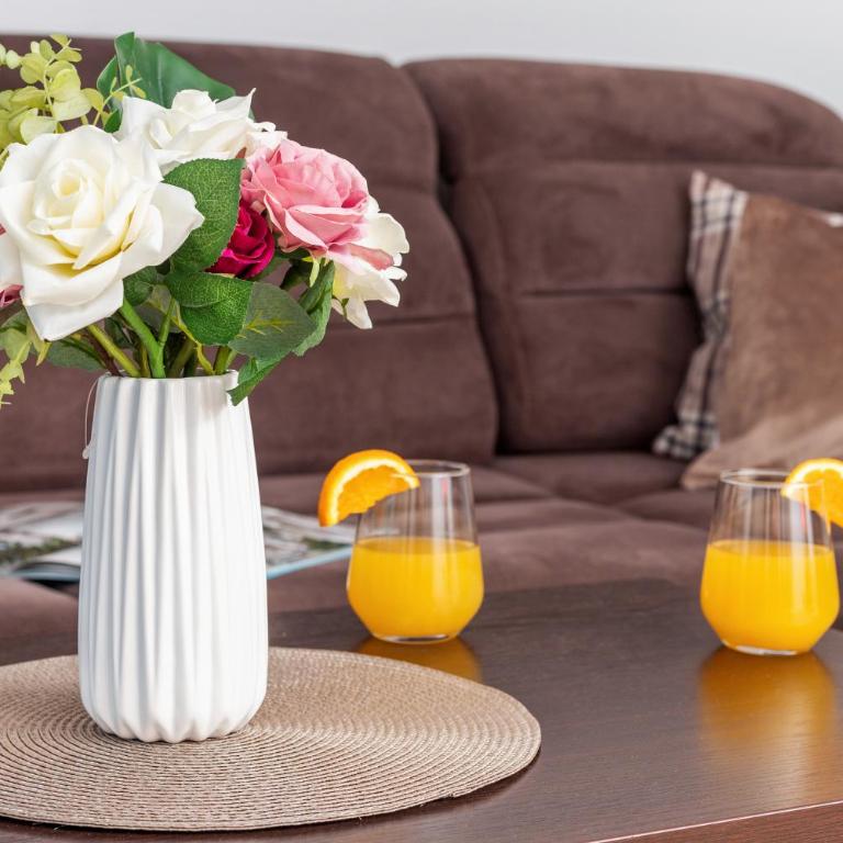 Antonella - One-Bedroom Apartment - 12