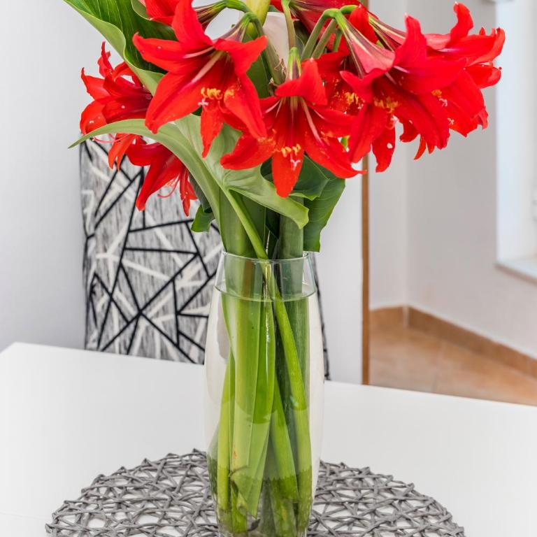 Antonella - One-Bedroom Apartment - 20