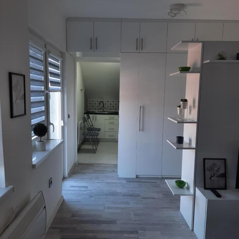 Apartman Daniela - Studio sa Balkonom - 10