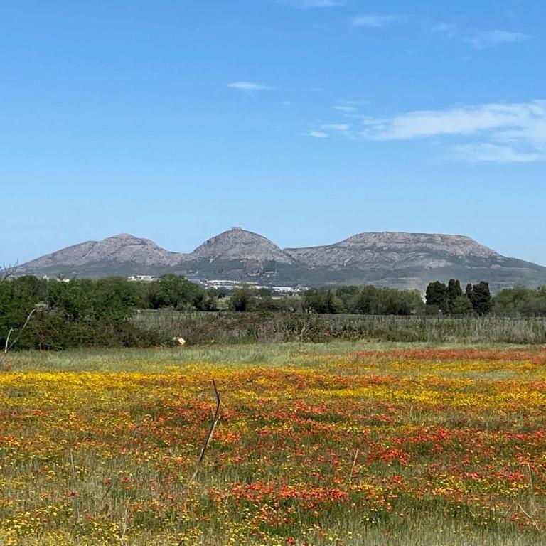 Torre Bertrana By Grup Duquessa - Casa de 5 dormitorios - 55