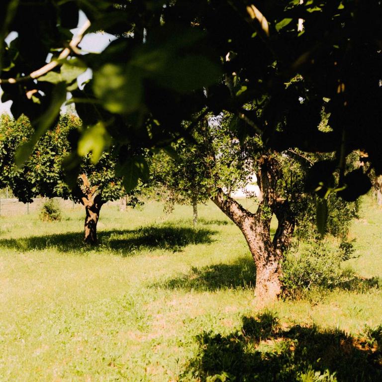 Sweet home in nature reserve - Casa Vacanze - 41