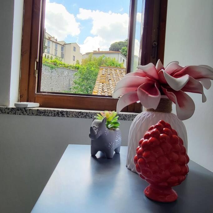 CASA FAUL con parcheggio vicino Alloggio turistico - Appartamento con 1 Camera da Letto - 16