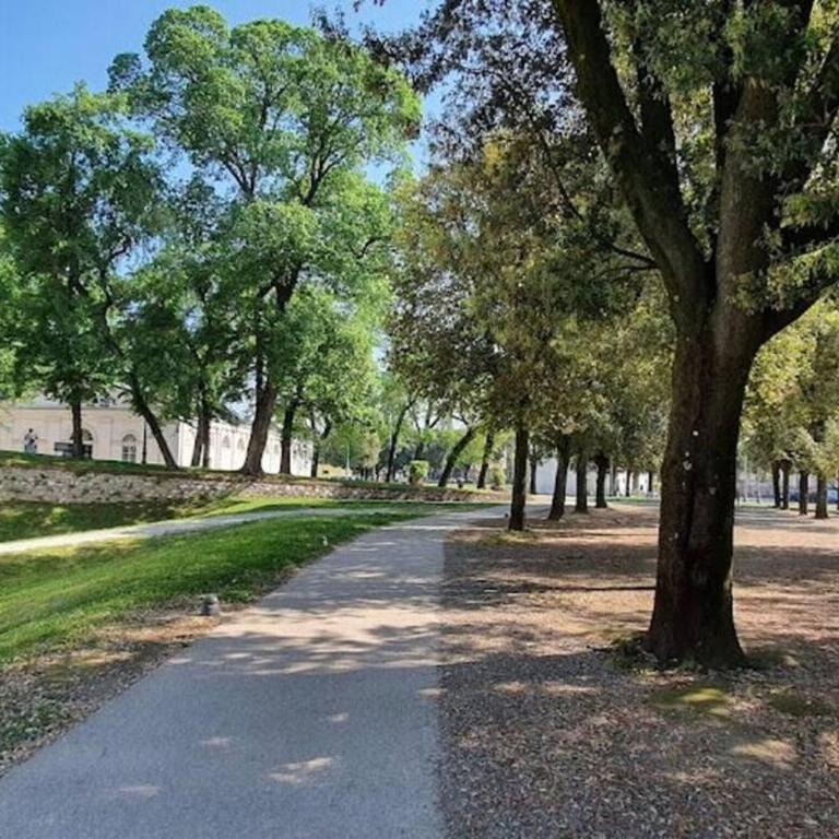 Residenza Otello - Appartamento con 3 Camere da Letto - 10