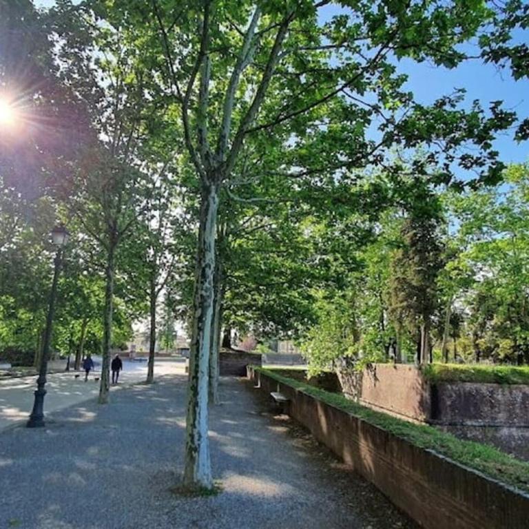 Residenza Otello - Appartamento con 3 Camere da Letto - 18