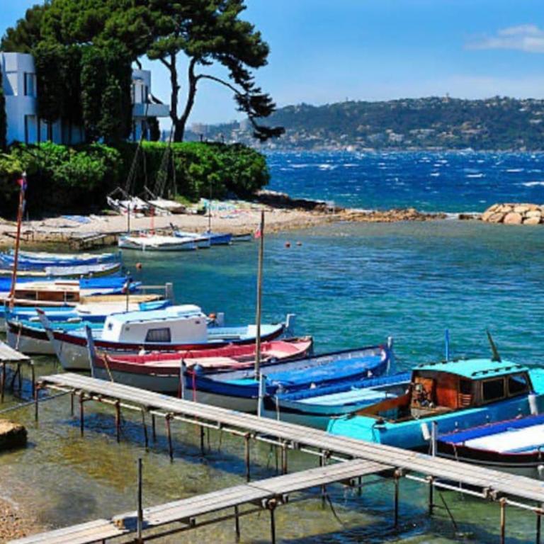 Juan les Pins 2 pièces 50m2 - Appartement 1 Chambre - 1