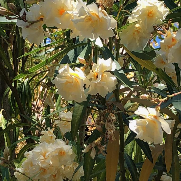 Panoramic Bliss - Apartment with Balcony - 33