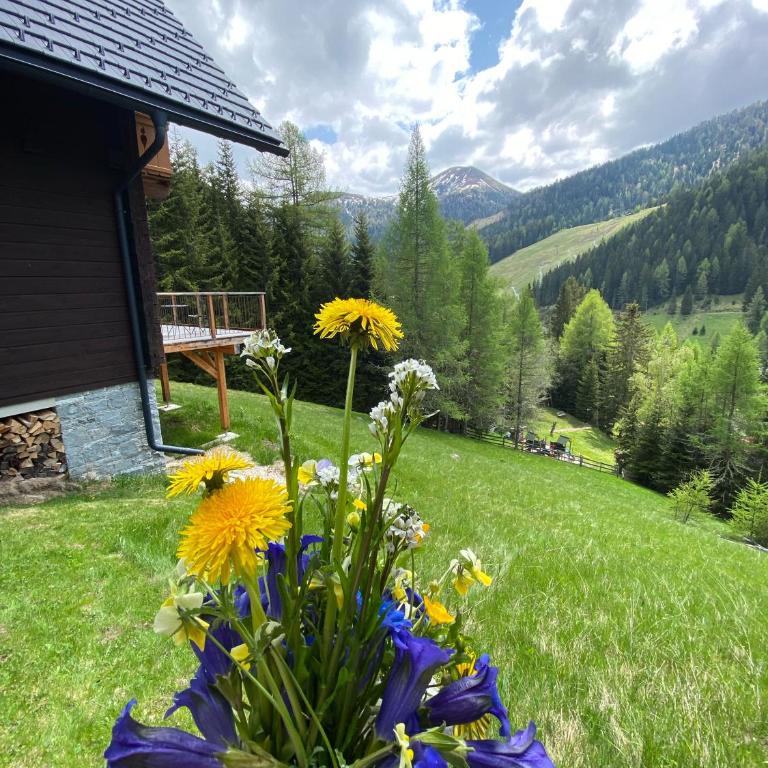 Almhaus Gensbach - Chalet mit 3 Schlafzimmern - 7