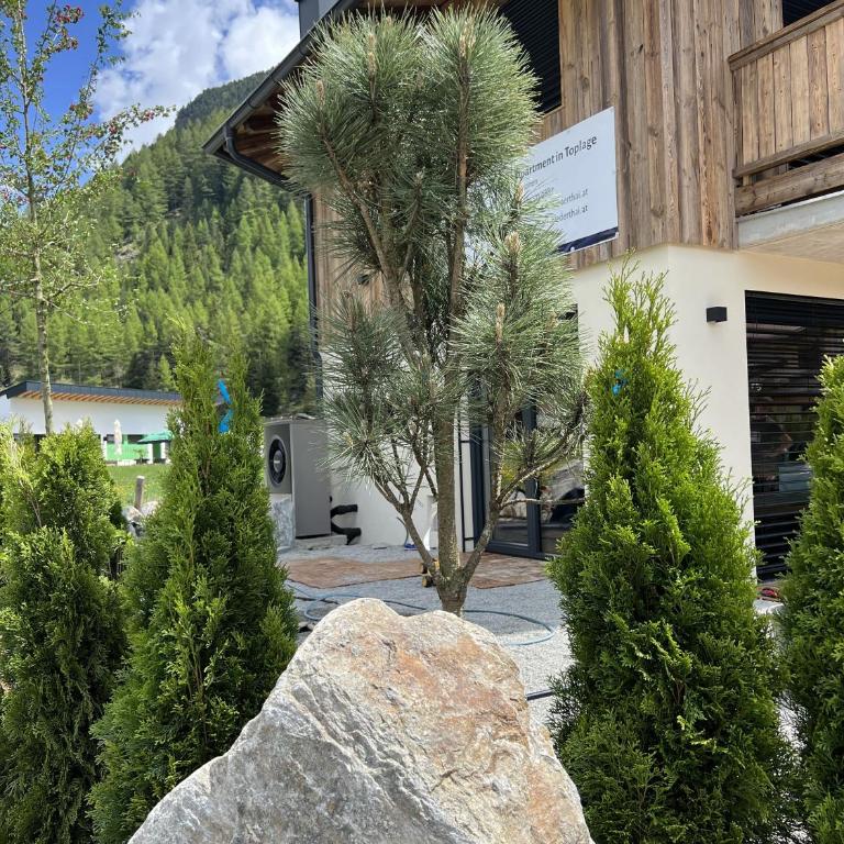 Alp Apart Niederthai - Apartment mit 2 Schlafzimmern - 22